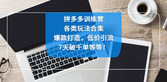 拼多多训练营：各玩法合集，爆款打造，低价引流，7天破千单等等-往来项目网