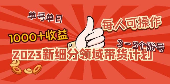 2023新细分领域带货计划：单号单日1000 收益不难，每人可操作3-5个账号-往来项目网