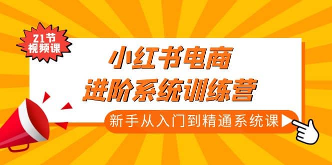 小红书电商进阶系统训练营：新手从入门到精通系统课（21节视频课）-往来项目网