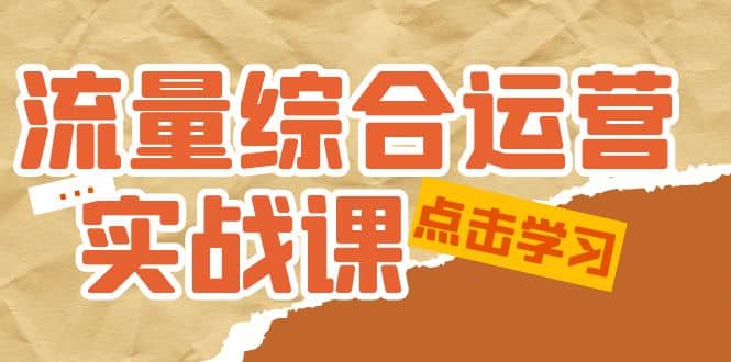 流量综合·运营实战课：短视频、本地生活、个人IP知识付费、直播带货运营-往来项目网