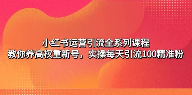 小红书运营引流全系列课程：教你养高权重新号-往来项目网