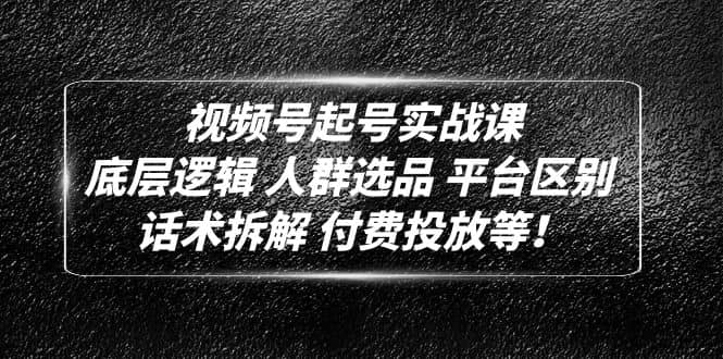 视频号起号实战课：底层逻辑 人群选品 平台区别 话术拆解 付费投放等-往来项目网