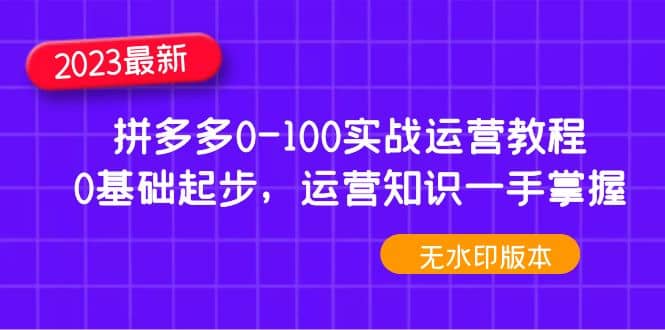 2023拼多多0-100实战运营教程，0基础起步，运营知识一手掌握（无水印）-往来项目网