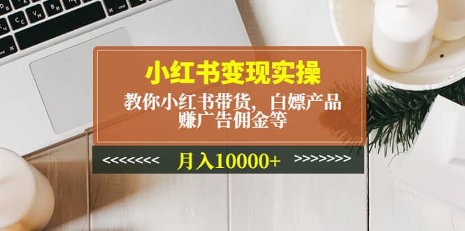 小红书变现实操：教你小红书带货，白嫖产品，赚广告佣金等-往来项目网