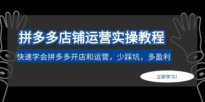 拼多多店铺运营实操教程：快速学会拼多多开店和运营，少踩坑，多盈利-往来项目网