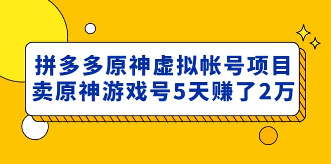 外面卖2980的拼多多原神虚拟帐号项目-往来项目网