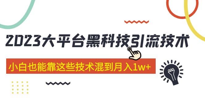 价值4899的2023大平台黑科技引流技术 29节课-往来项目网