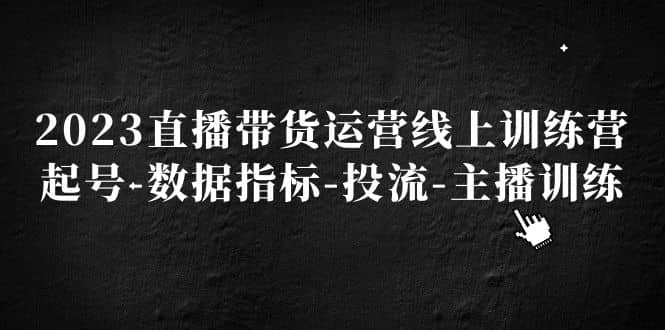 2023直播带货运营线上训练营，起号-数据指标-投流-主播训练-往来项目网