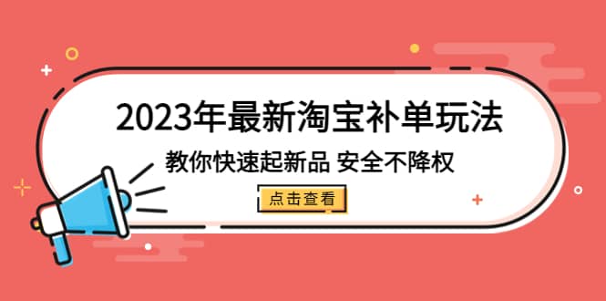 2023年最新淘宝补单玩法，教你快速起·新品，安全·不降权（18课时）-往来项目网