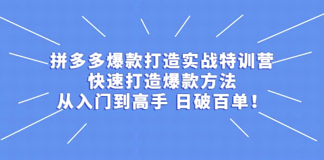 拼多多爆款打造实战特训营：快速打造爆款方法，从入门到高手 日破百单-往来项目网