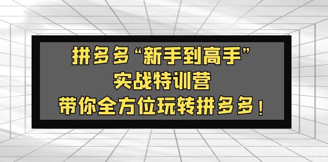 拼多多“新手到高手”实战特训营：带你全方位玩转拼多多-往来项目网