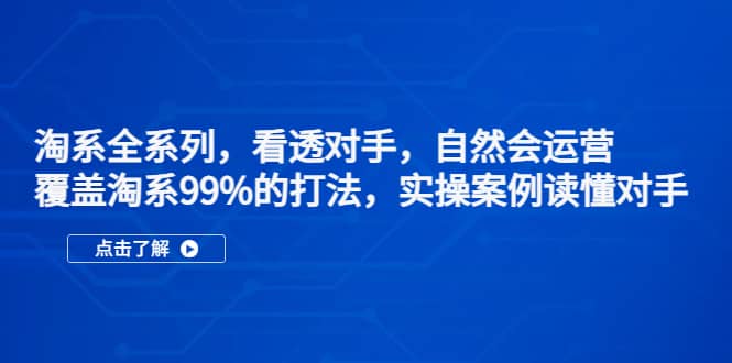 淘系全系列，看透对手，自然会运营，覆盖淘系99%·打法，实操案例读懂对手-往来项目网