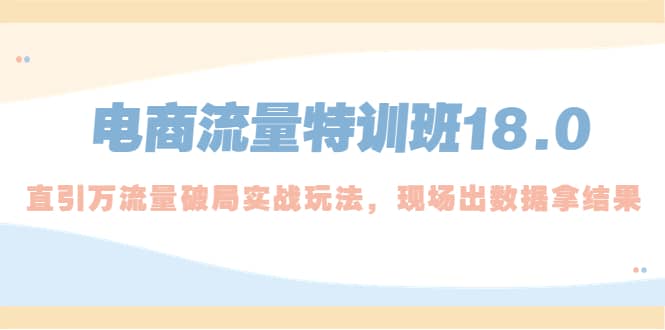 电商流量特训班18.0，直引万流量破局实操玩法，现场出数据拿结果-往来项目网