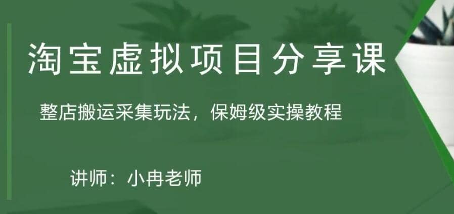 淘宝虚拟整店搬运采集玩法分享课：整店搬运采集玩法，保姆级实操教程-往来项目网