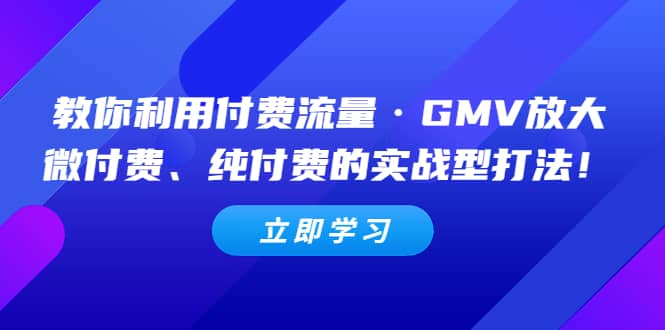 教你利用付费流量·GMV放大，微付费、纯付费的实战型打法-往来项目网