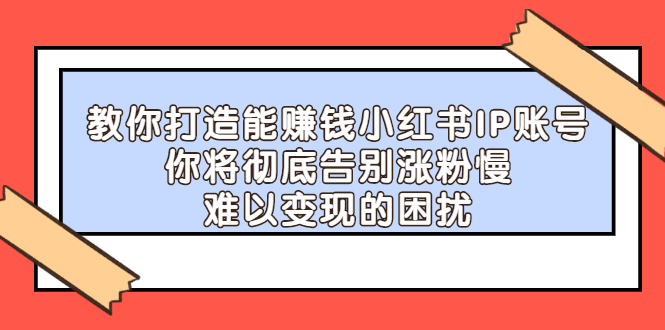 教你打造能赚钱小红书IP账号，了解透彻小红书的真正玩法-往来项目网