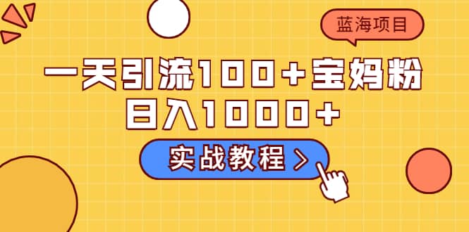 一天引流100 宝妈粉，日入1000 的蓝海项目（实战教程）-往来项目网