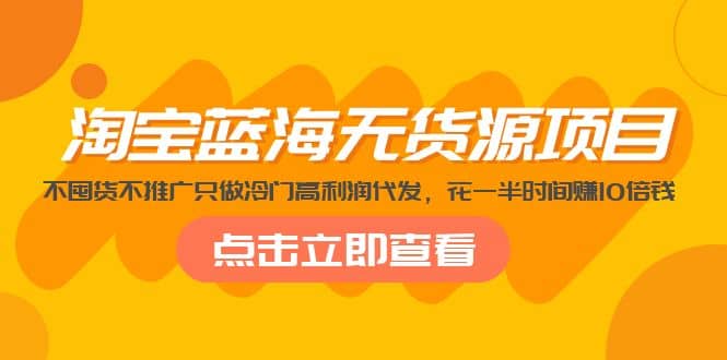 淘宝蓝海无货源项目，不囤货不推广只做冷门高利润代发-往来项目网