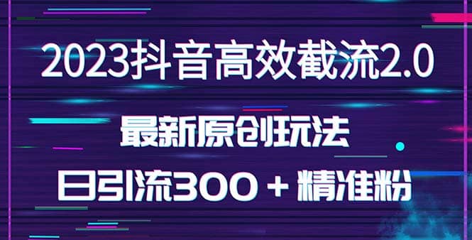 日引300＋创业粉，独家抖音高效截流2.0玩法（价值1280）-往来项目网