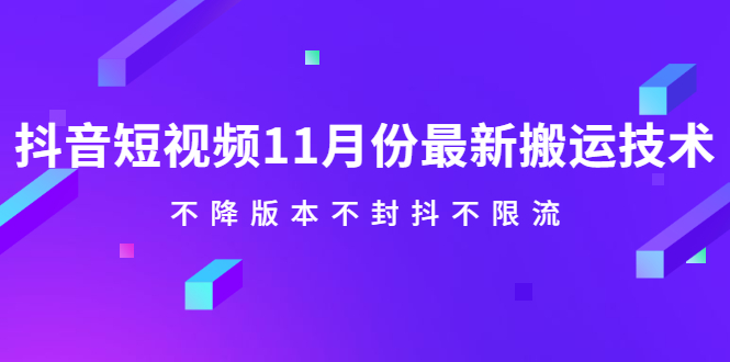 抖音短视频11月份最新搬运技术，不降版本不封抖不限流！【视频课程】-往来项目网