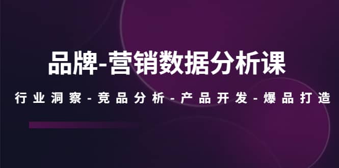 品牌-营销数据分析课，行业洞察-竞品分析-产品开发-爆品打造-往来项目网