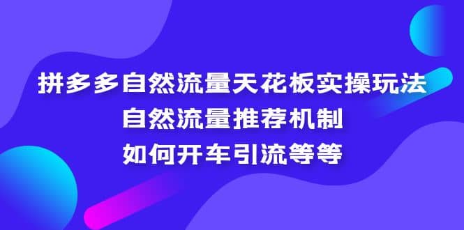 拼多多自然流量天花板实操玩法：自然流量推荐机制，如何开车引流等等-往来项目网