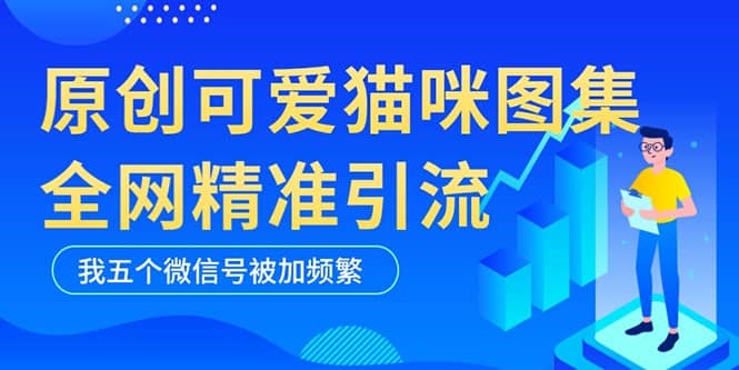 黑科技纯原创可爱猫咪图片，全网精准引流，实操5个VX号被加频繁-往来项目网