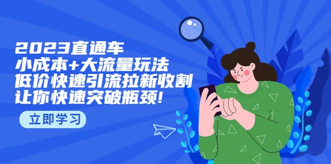 2023直通小成本 大流量玩法，低价快速引流拉新收割，让你快速突破瓶颈-往来项目网