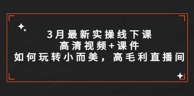 3月最新实操线下课高清视频 课件，如何玩转小而美，高毛利直播间-往来项目网