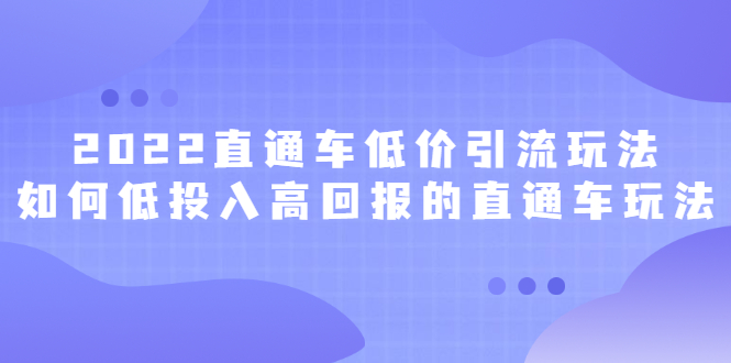 2022直通车低价引流玩法，教大家如何低投入高回报的直通车玩法-往来项目网