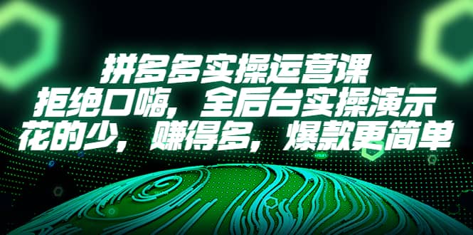 拼多多实操运营课：拒绝口嗨，全后台实操演示，花的少，赚得多，爆款更简单-往来项目网