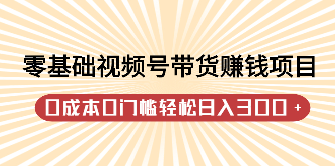 零基础视频号带货赚钱项目，0成本0门槛轻松日入300 【视频教程】-往来项目网