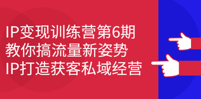 IP变现训练营第6期：教你搞流量新姿势，IP打造获客私域经营-往来项目网