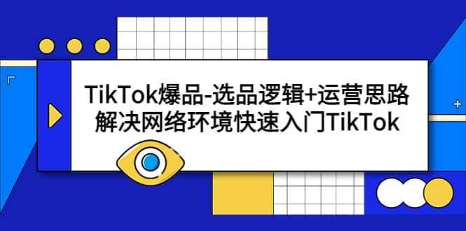 TikTok爆品-选品逻辑 运营思路：解决网络环境快速入门TikTok-往来项目网