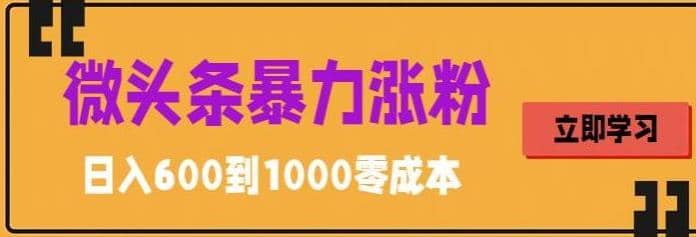 微头条暴力涨粉技巧搬运文案就能涨几万粉丝，简单0成本，日赚600-往来项目网