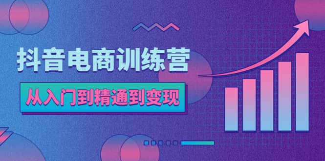 抖音电商训练营：从入门到精通，从账号定位到流量变现，抖店运营实操-往来项目网