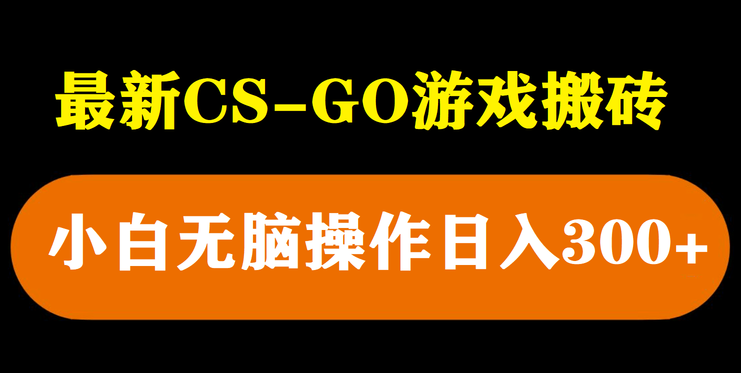 最新csgo游戏搬砖游戏，无需挂机小白无脑也能日入300-往来项目网