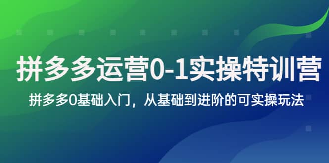 拼多多-运营0-1实操训练营，拼多多0基础入门，从基础到进阶的可实操玩法-往来项目网