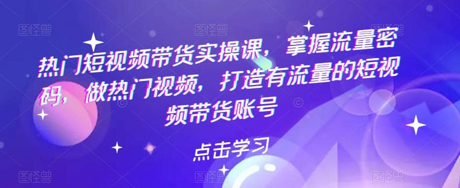 热门短视频带货实战 掌握流量密码 做热门视频 打造有流量的短视频带货账号-往来项目网