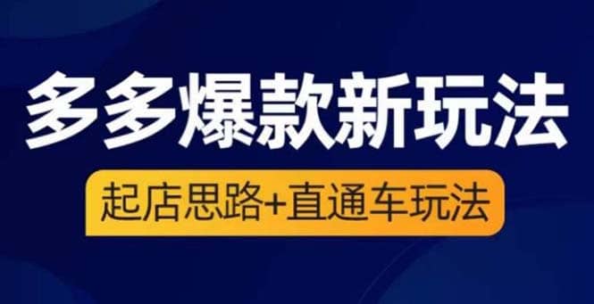 2023拼多多爆款·新玩法：起店思路 直通车玩法（3节精华课）-往来项目网