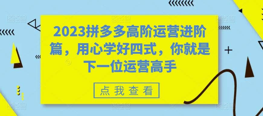 2023拼多多高阶运营进阶篇，用心学好四式，你就是下一位运营高手-往来项目网