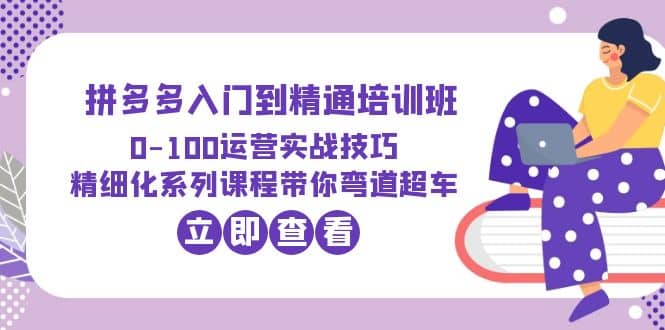 2023拼多多入门到精通培训班：0-100运营实战技巧 精细化系列课带你弯道超车-往来项目网