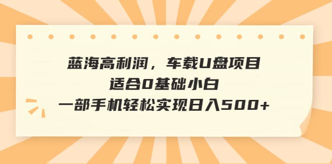 蓝海高利润，车载U盘项目，适合0基础小白，一部手机轻松实现日入500-往来项目网