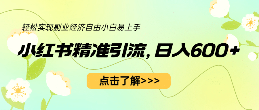 小红书精准引流，小白日入600 ，轻松实现副业经济自由（教程 1153G资源）-往来项目网