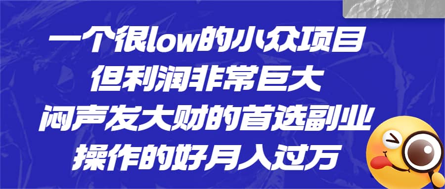 一个很low的小众项目，但利润非常巨大，闷声发大财的首选副业，月入过万-往来项目网