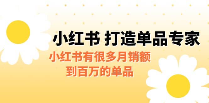 某公众号付费文章《小红书 打造单品专家》小红书有很多月销额到百万的单品-往来项目网