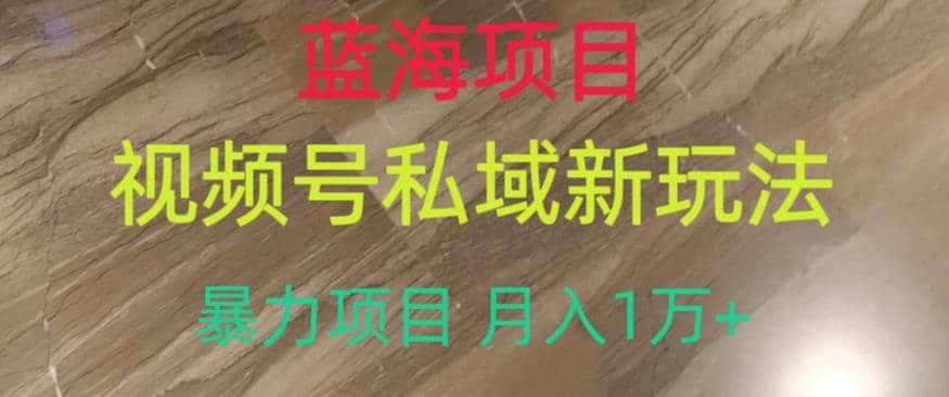 蓝海项目，视频号私域新玩法，暴力项目月入1万 【揭秘】-往来项目网