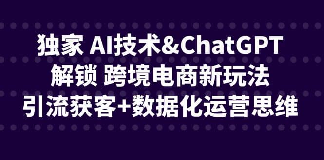 独家 AI技术ChatGPT解锁 跨境电商新玩法，引流获客 数据化运营思维-往来项目网