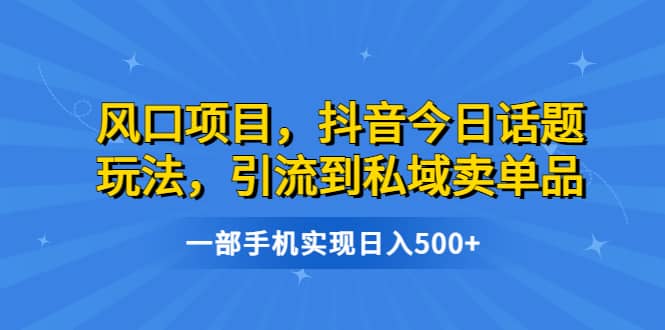 风口项目，抖音今日话题玩法，引流到私域卖单品，一部手机实现日入500-往来项目网