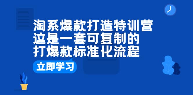 淘系爆款打造特训营：这是一套可复制的打爆款标准化流程-往来项目网